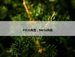 PICO向左，Meta向右