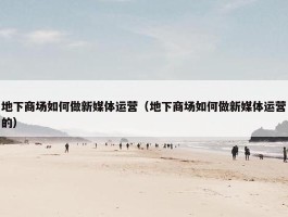 地下商场如何做新媒体运营（地下商场如何做新媒体运营的）