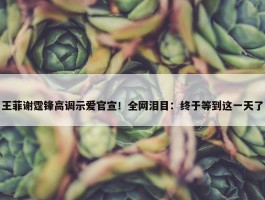 王菲谢霆锋高调示爱官宣！全网泪目：终于等到这一天了