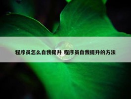 程序员怎么自我提升 程序员自我提升的方法