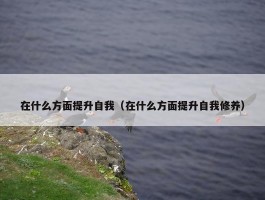 在什么方面提升自我（在什么方面提升自我修养）