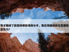 奇才裁掉了前森林狼后场得分手，他还得继续前往发展联盟效力？