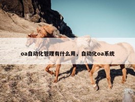 oa自动化管理有什么用，自动化oa系统