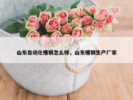 山东自动化槽钢怎么样，山东槽钢生产厂家