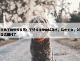 国乒王牌惨败陨落！王楚钦摊牌输球真相，马龙无奈，刘国梁错付了