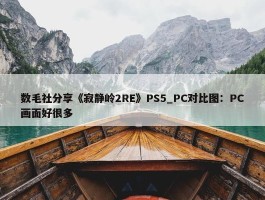 数毛社分享《寂静岭2RE》PS5_PC对比图：PC画面好很多