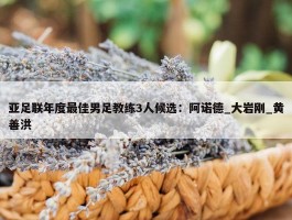 亚足联年度最佳男足教练3人候选：阿诺德_大岩刚_黄善洪