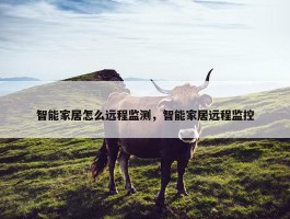 智能家居怎么远程监测，智能家居远程监控