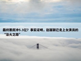 最终票房冲5.3亿？事实证明，赵丽颖已走上女演员的“浴火之路”