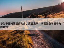 华为举行鸿蒙誓师大会，高管发声：鸿蒙生态不是华为“独角戏”