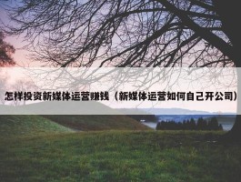 怎样投资新媒体运营赚钱（新媒体运营如何自己开公司）