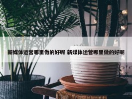 新媒体运营哪里做的好呢 新媒体运营哪里做的好呢