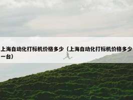 上海自动化打标机价格多少（上海自动化打标机价格多少一台）