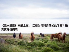 《流水迢迢》未解之谜： 江慈为何对月落如此了解？她真实身份揭晓