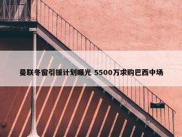 曼联冬窗引援计划曝光 5500万求购巴西中场