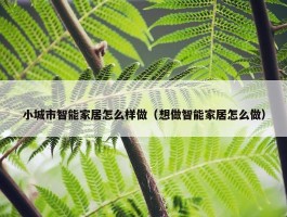 小城市智能家居怎么样做（想做智能家居怎么做）