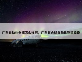 广东自动化仓储怎么样啊，广东省仓储自动化物流设备