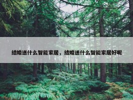 结婚送什么智能家居，结婚送什么智能家居好呢