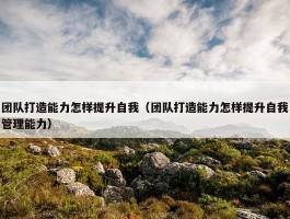 团队打造能力怎样提升自我（团队打造能力怎样提升自我管理能力）