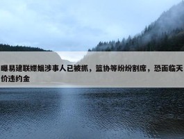 曝易建联嫖娼涉事人已被抓，篮协等纷纷割席，恐面临天价违约金