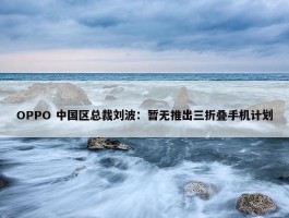 OPPO 中国区总裁刘波：暂无推出三折叠手机计划