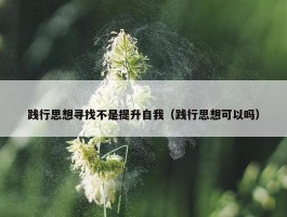 践行思想寻找不是提升自我（践行思想可以吗）