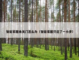 智能家居未关门怎么办（智能家居只迈了一小步）