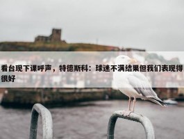 看台现下课呼声，特德斯科：球迷不满结果但我们表现得很好