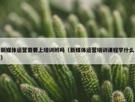 新媒体运营需要上培训班吗（新媒体运营培训课程学什么）