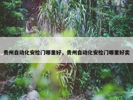 贵州自动化安检门哪里好，贵州自动化安检门哪里好卖