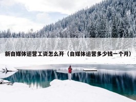 新自媒体运营工资怎么开（自媒体运营多少钱一个月）