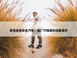 拿恐龙来命名汽车，是广汽埃安的流量毒药